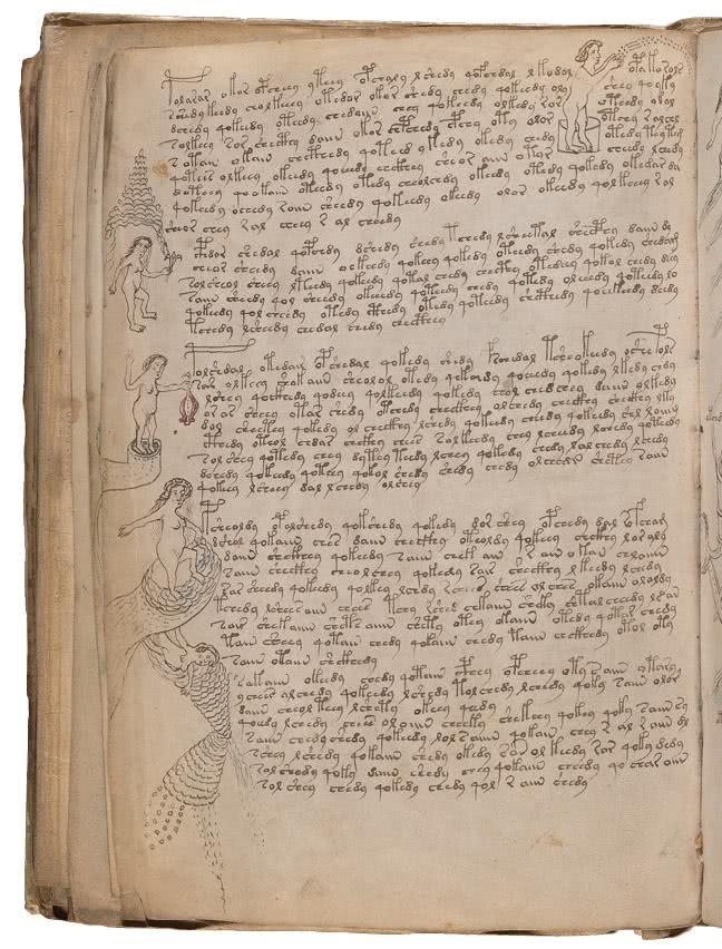 Иллюстрация к книге — Манускрипт Войнича [i_157.jpg]