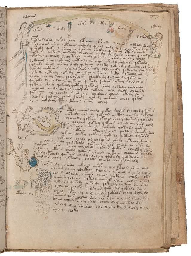 Иллюстрация к книге — Манускрипт Войнича [i_158.jpg]