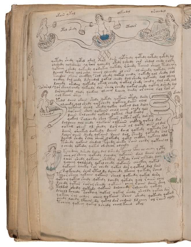 Иллюстрация к книге — Манускрипт Войнича [i_159.jpg]