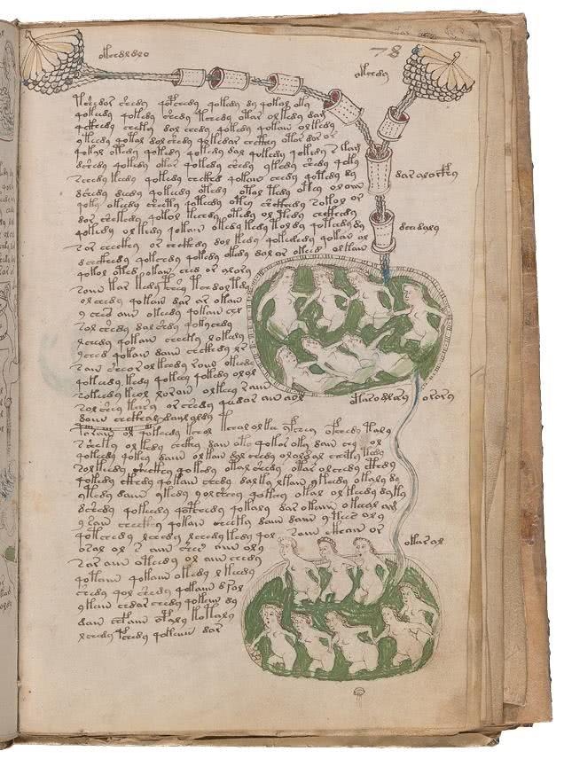 Иллюстрация к книге — Манускрипт Войнича [i_160.jpg]