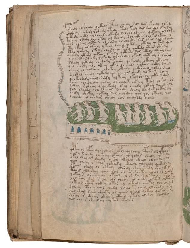 Иллюстрация к книге — Манускрипт Войнича [i_161.jpg]