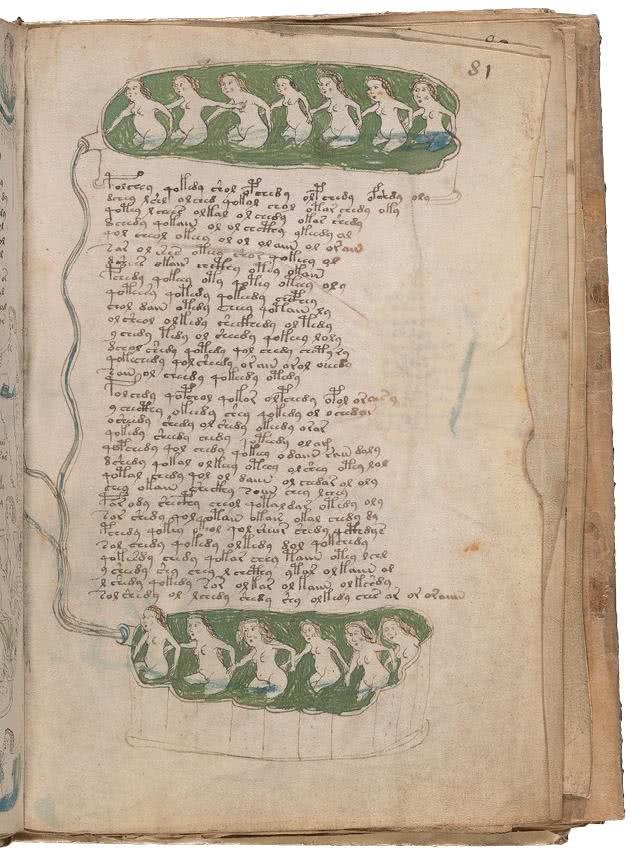 Иллюстрация к книге — Манускрипт Войнича [i_166.jpg]