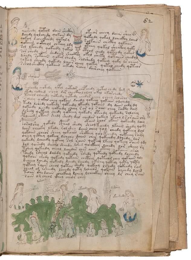 Иллюстрация к книге — Манускрипт Войнича [i_168.jpg]