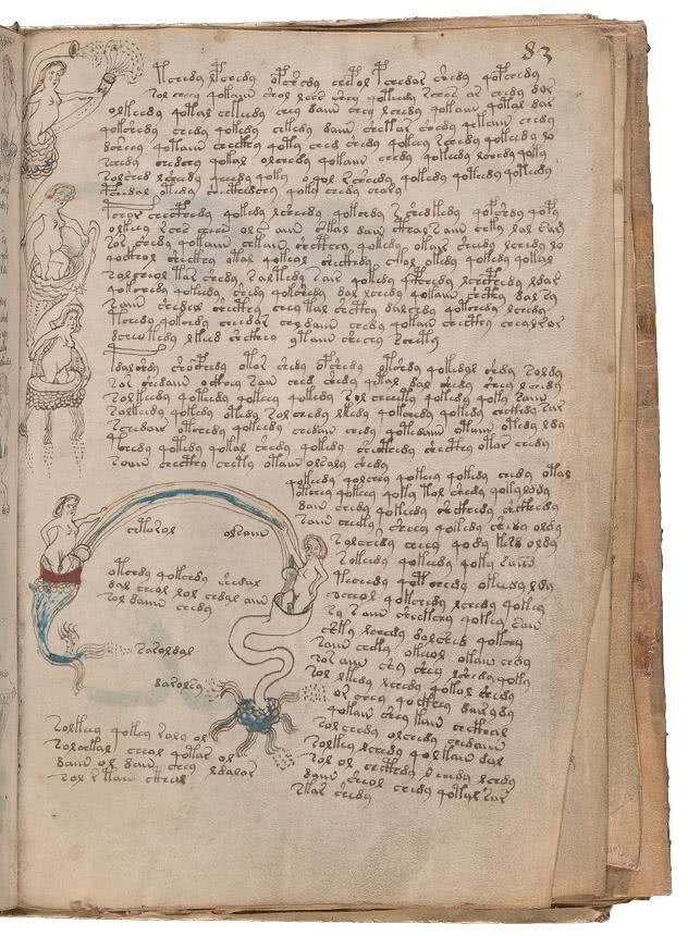 Иллюстрация к книге — Манускрипт Войнича [i_170.jpg]