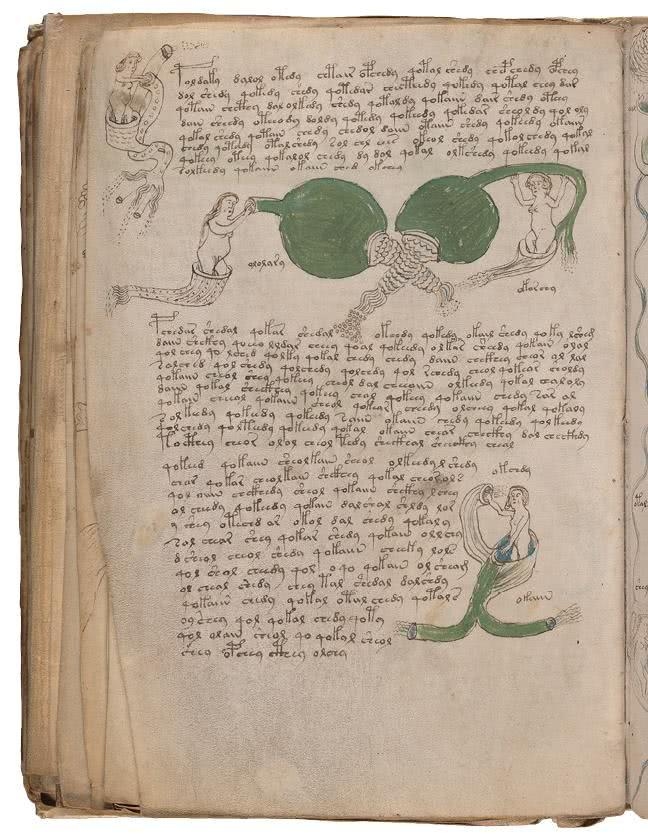 Иллюстрация к книге — Манускрипт Войнича [i_171.jpg]