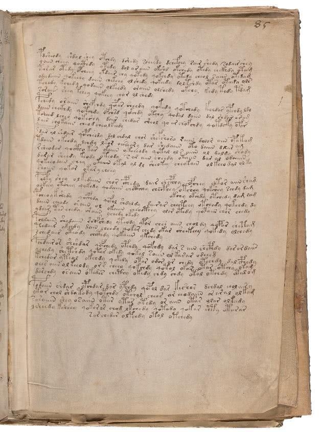 Иллюстрация к книге — Манускрипт Войнича [i_174.jpg]