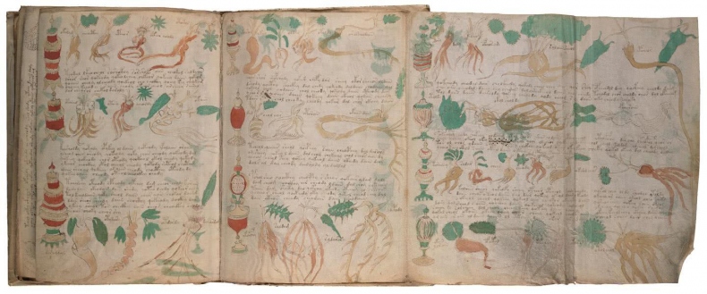 Иллюстрация к книге — Манускрипт Войнича [i_180.jpg]