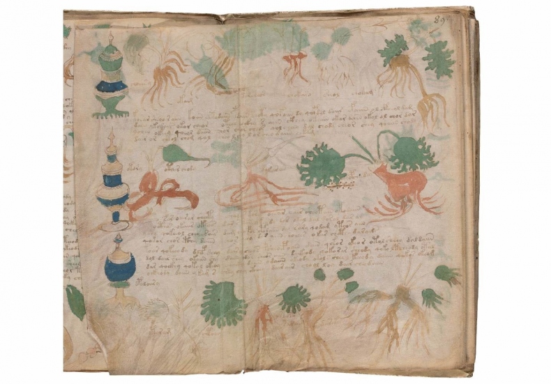 Иллюстрация к книге — Манускрипт Войнича [i_181.jpg]