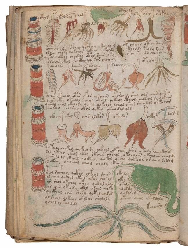 Иллюстрация к книге — Манускрипт Войнича [i_194.jpg]