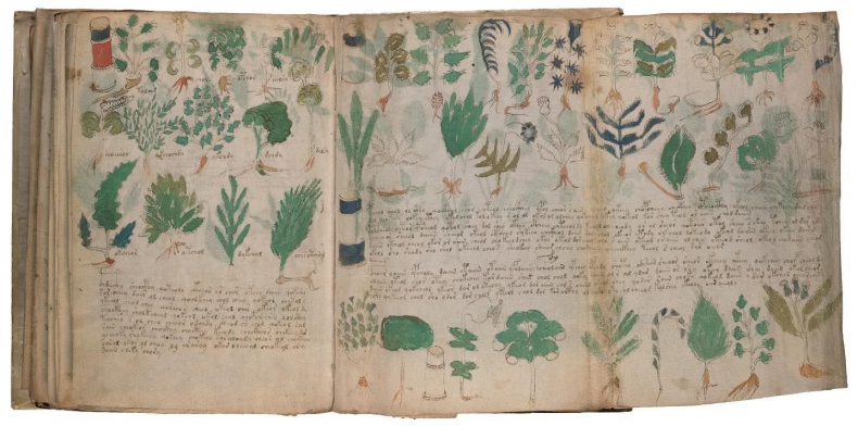 Иллюстрация к книге — Манускрипт Войнича [i_196.jpg]