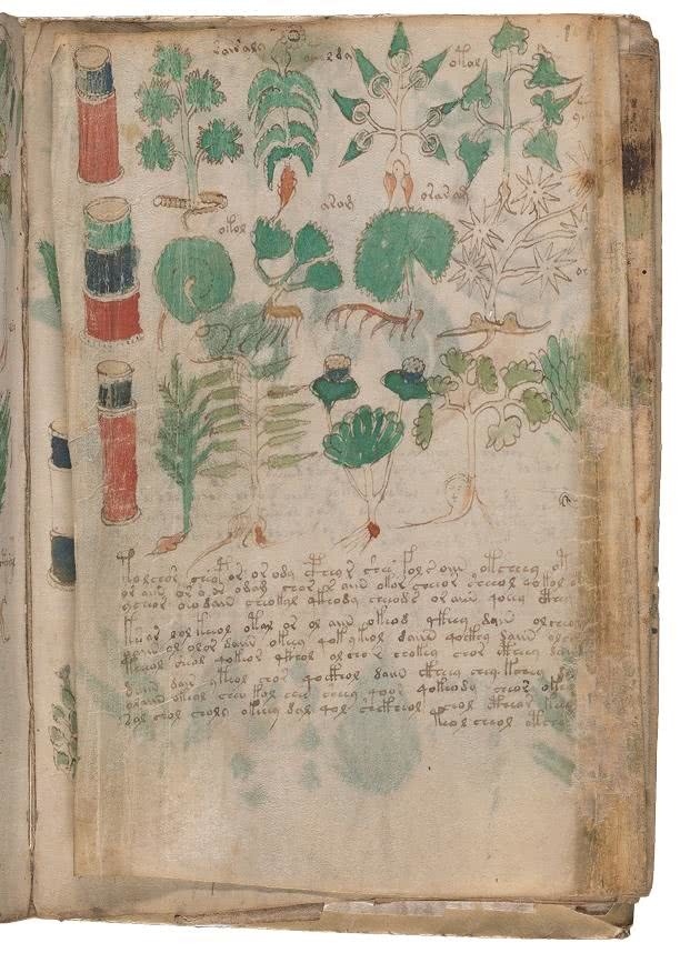 Иллюстрация к книге — Манускрипт Войнича [i_197.jpg]