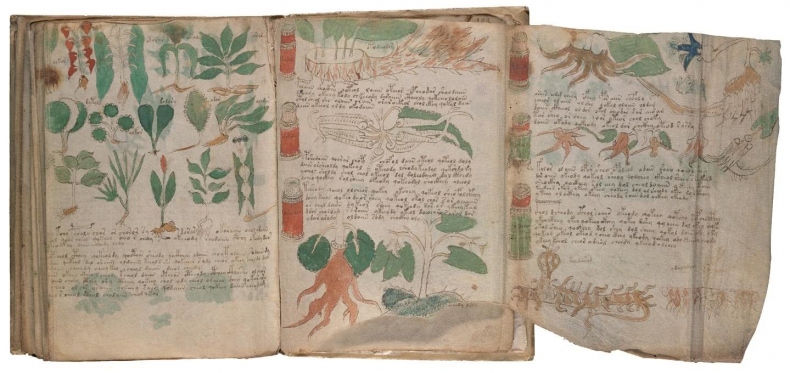 Иллюстрация к книге — Манускрипт Войнича [i_199.jpg]