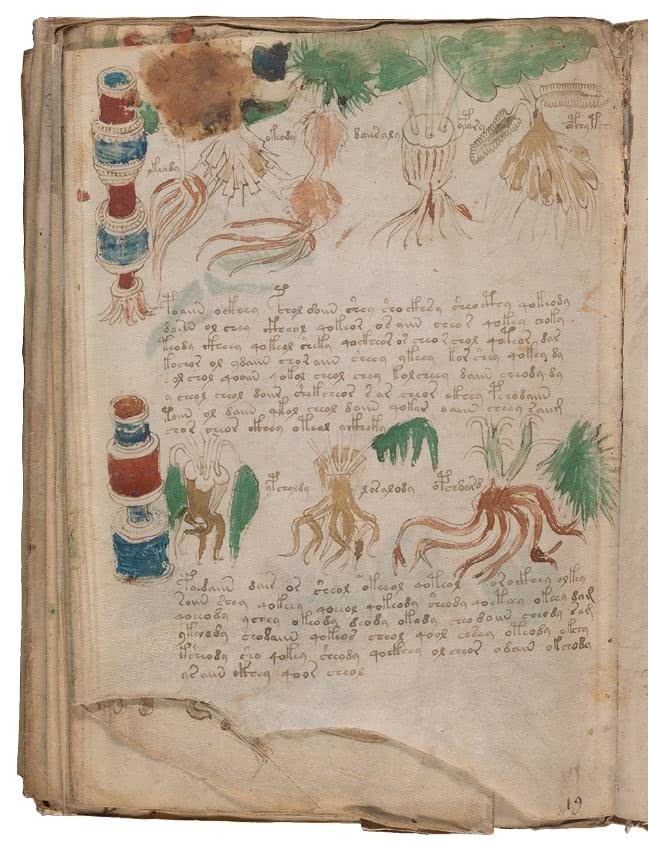 Иллюстрация к книге — Манускрипт Войнича [i_200.jpg]