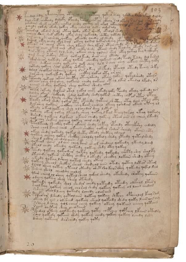 Иллюстрация к книге — Манускрипт Войнича [i_201.jpg]