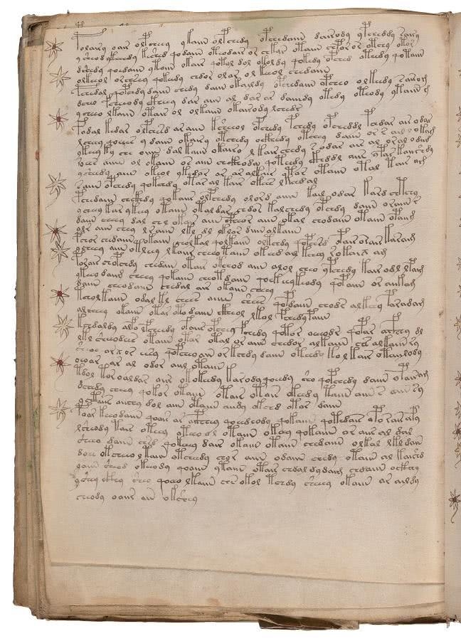 Иллюстрация к книге — Манускрипт Войнича [i_206.jpg]