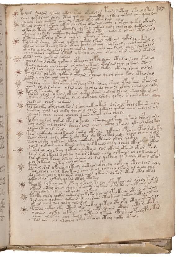 Иллюстрация к книге — Манускрипт Войнича [i_209.jpg]