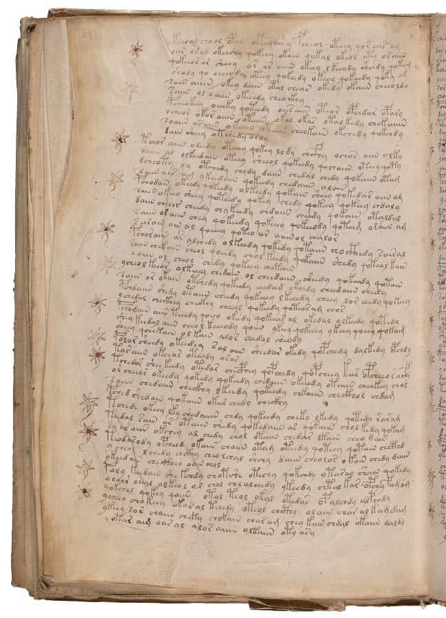 Иллюстрация к книге — Манускрипт Войнича [i_216.jpg]