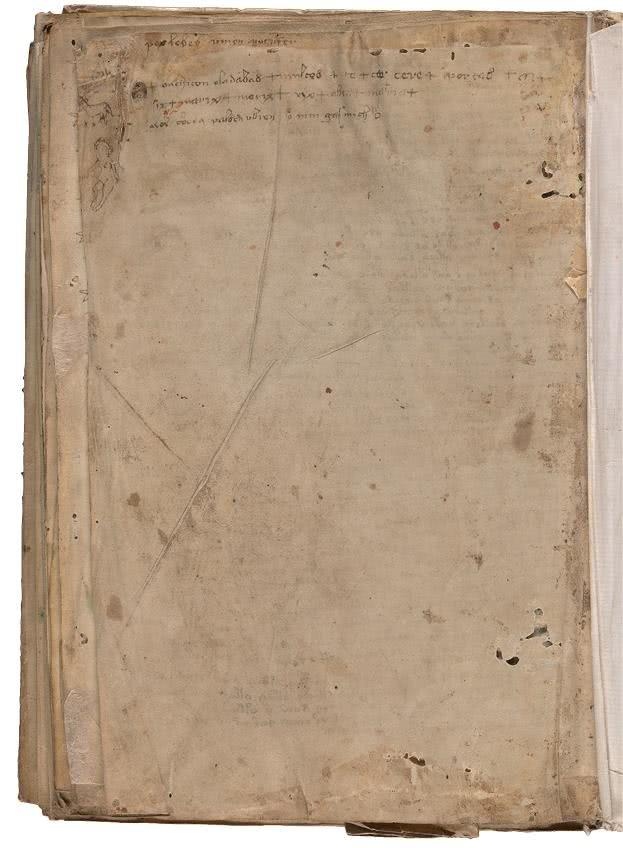 Иллюстрация к книге — Манускрипт Войнича [i_218.jpg]