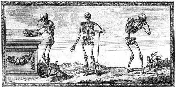 Иллюстрация к книге — Кости: скрытая жизнь. Все о строительном материале нашего скелета, который расскажет, кто мы и как живем [i_001.jpg]