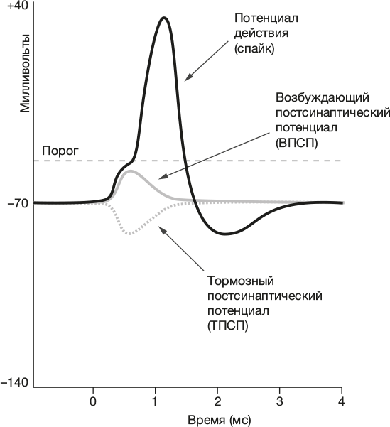 Иллюстрация к книге — Совесть. Происхождение нравственной интуиции [i_010.jpg]