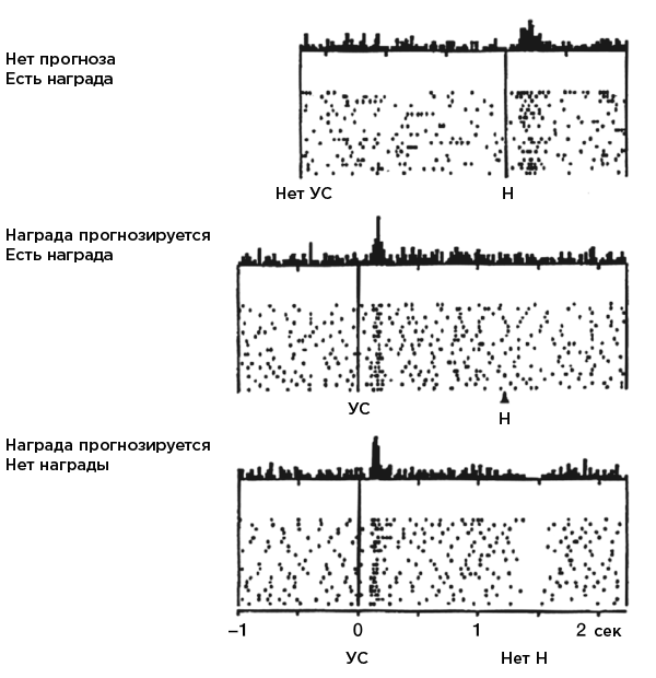 Иллюстрация к книге — Совесть. Происхождение нравственной интуиции [i_011.jpg]