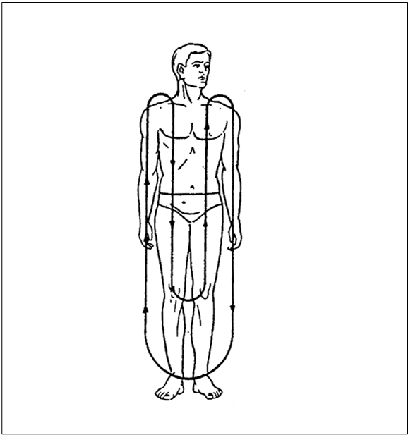 Иллюстрация к книге — Рефлексотерапия. Как восстановить подвижность суставов в домашних условиях [i_004.jpg]