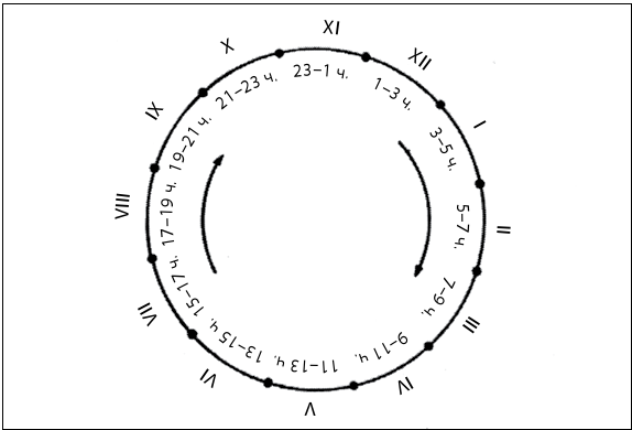 Иллюстрация к книге — Рефлексотерапия. Как восстановить подвижность суставов в домашних условиях [i_005.jpg]