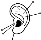 Иллюстрация к книге — Рефлексотерапия. Как восстановить подвижность суставов в домашних условиях [i_006.jpg]