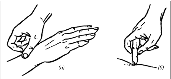 Иллюстрация к книге — Рефлексотерапия. Как восстановить подвижность суставов в домашних условиях [i_013.jpg]
