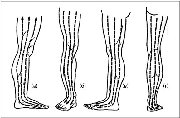 Иллюстрация к книге — Рефлексотерапия. Как восстановить подвижность суставов в домашних условиях [i_016.jpg]
