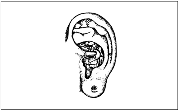 Иллюстрация к книге — Рефлексотерапия. Как восстановить подвижность суставов в домашних условиях [i_020.jpg]