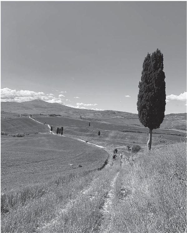 Иллюстрация к книге — Однажды в Тоскане. История обычного счастья и необыкновенно вкусной еды [img_5.jpg]