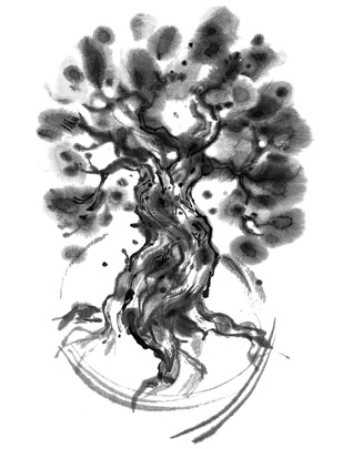 Иллюстрация к книге — История Северного круга [i_009.jpg]