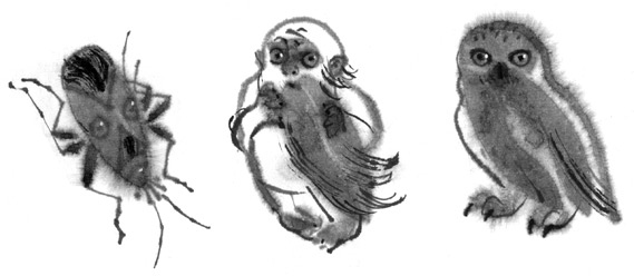 Иллюстрация к книге — История Северного круга [i_031.jpg]