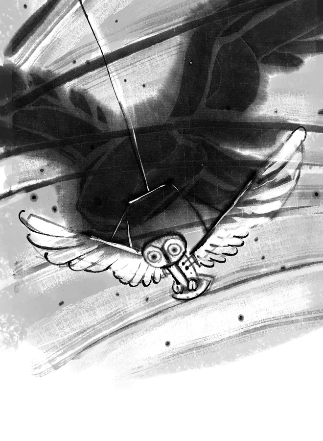 Иллюстрация к книге — История Северного круга [i_034.jpg]