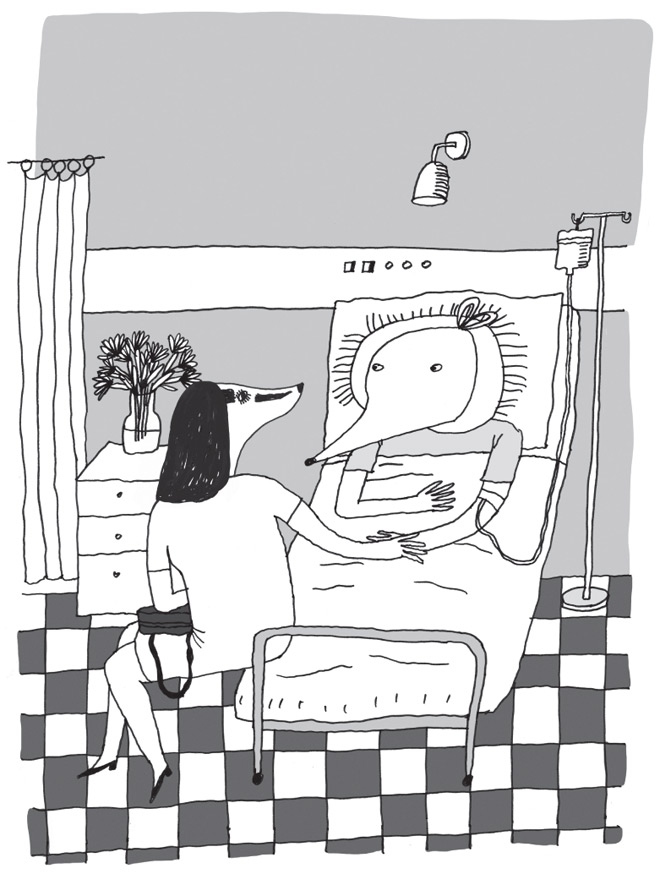 Иллюстрация к книге — Джефферсон [i_023.jpg]