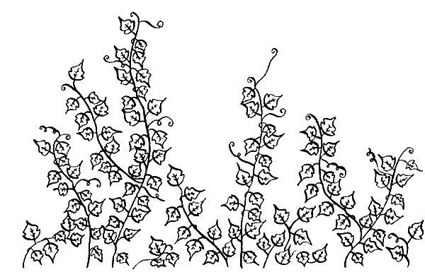 Иллюстрация к книге — Вандербикеры и таинственный сад [_002.jpg]