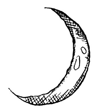 Иллюстрация к книге — Вандербикеры и таинственный сад [_007.jpg]