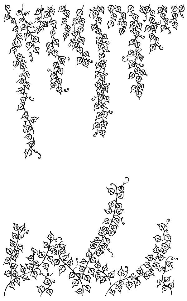 Иллюстрация к книге — Вандербикеры и таинственный сад [_009.jpg]