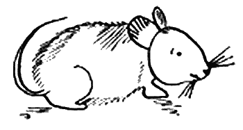 Иллюстрация к книге — Вандербикеры и таинственный сад [_010.jpg]