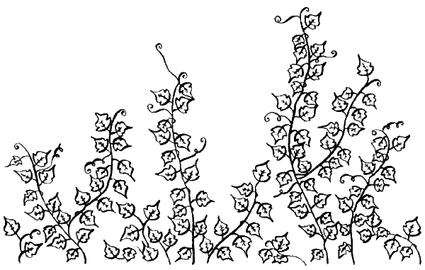 Иллюстрация к книге — Вандербикеры и таинственный сад [_013.jpg]