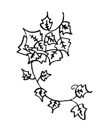 Иллюстрация к книге — Вандербикеры и таинственный сад [_014.jpg]