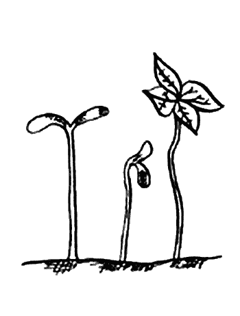 Иллюстрация к книге — Вандербикеры и таинственный сад [_021.jpg]