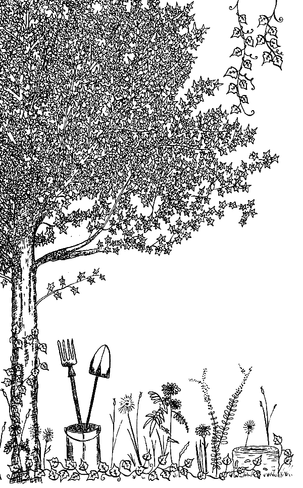 Иллюстрация к книге — Вандербикеры и таинственный сад [_023.jpg]