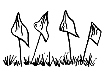 Иллюстрация к книге — Вандербикеры и таинственный сад [_036.jpg]