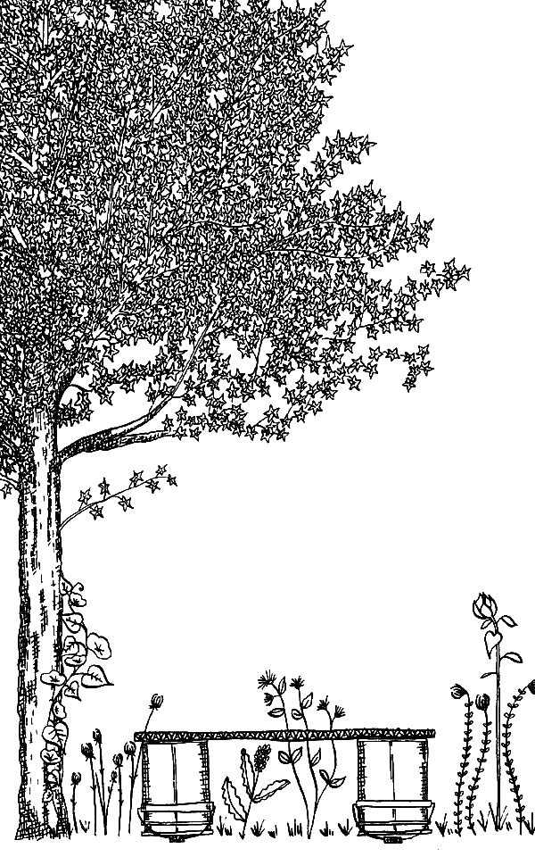 Иллюстрация к книге — Вандербикеры и таинственный сад [_038.jpg]