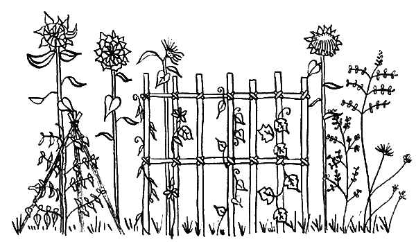 Иллюстрация к книге — Вандербикеры и таинственный сад [_039.jpg]