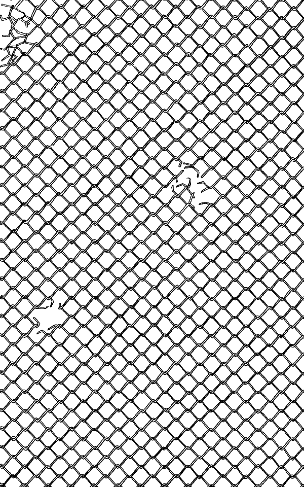 Иллюстрация к книге — Вандербикеры и таинственный сад [_050.jpg]