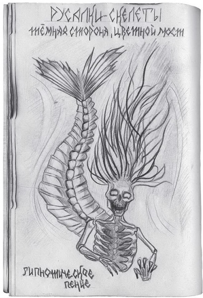 Иллюстрация к книге — Гиллиус: светлая сторона. Книга 1 [i_031.jpg]