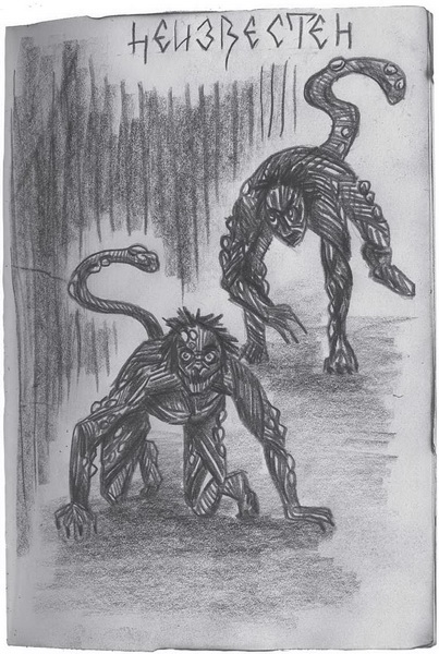 Иллюстрация к книге — Гиллиус: светлая сторона. Книга 1 [i_034.jpg]